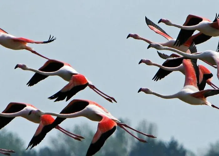 La Casa Tranquilia Chez Vero Et Jj A مارسيلان